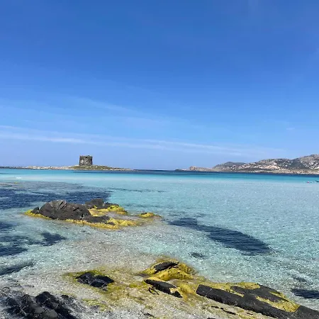I Pescatori Di Stelle-o15 Acrux