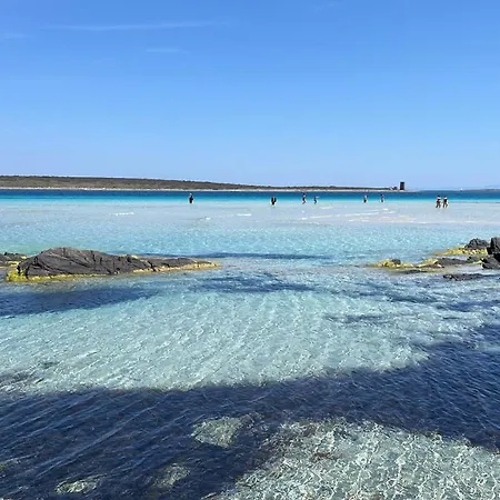 I Pescatori Di Stelle-o15 Acrux Stintino